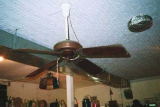 Ceiling Fan in Moorefield West Virginia