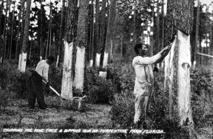 Chipping Turpentine