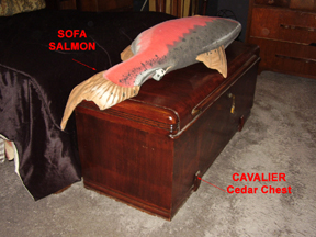 Cedar Chest and Sofa Salmon