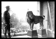 Leo the MGM Lion