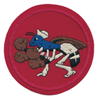 Squadron patch for VF-72 