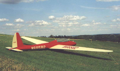  The Nelson Hummingbird Powered Glider