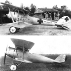  The Pfalz D.III 
