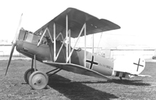 The Pfalz D.X11  