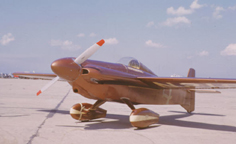 The Minnow Air Racer  