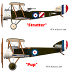 Comparison of the Sopwith Strutter and Pup airplanes